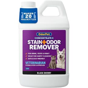Concentrate Stain and Odor Remover - 64 oz. (Makes 2.55 Gallons of Working Solution) - Lavender Scented Pet Odor Eliminator for Carpet, Floor and Furniture by Alpha Tech Pet
