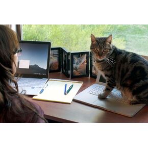 cattop