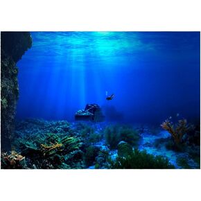 FILFEEL Aquarium Background Fish Decorations Pictures 3D Effect PVC Adhesive Poster Underwater World Backdrop Decoration Paper Cling Decals Sticker (122 x 61cm)