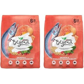 Purina Beyond Natural WhoLEDENTICALES FOR CLOSE CAT DRY FOOD Salmon وصفة الأرز البني الكامل - حقيبة 6 رطل (حزمة 2)