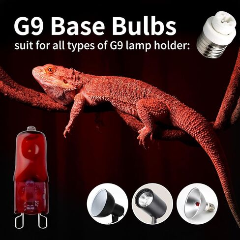 مصابيح مصباح الحرارة الحمراء G9 للزواحف 50W 4PACK ، مصابيح مصباح هالوجين ليلية صغيرة ، ضوء حرارة الأشعة تحت الحمراء القابلة للضوء للسلحفاة ، السلحفاة ، جيكو ، التنين الملتحي ، دبابة السحلية in Kuwait