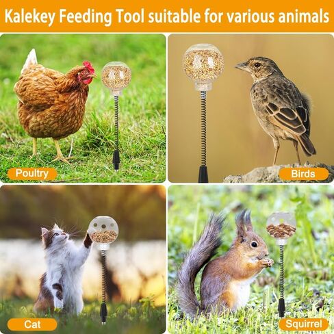 2 Pack Chicken Feeding Toy, Chicken Enrichment Toys with Spring and Ground Stake, Chicken Treat Dispenser Peck Toy for Hens Poultry Duck Birds Parrot Cat in Saudi Arabia