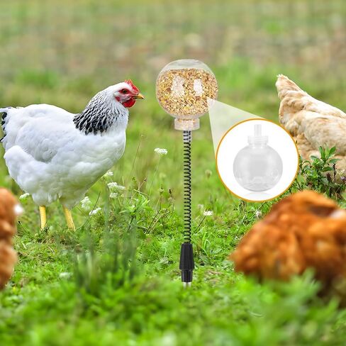 2 Pack Chicken Feeding Toy, Chicken Enrichment Toys with Spring and Ground Stake, Chicken Treat Dispenser Peck Toy for Hens Poultry Duck Birds Parrot Cat in Saudi Arabia