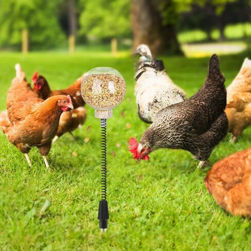 2 Pack Chicken Feeding Toy, Chicken Enrichment Toys with Spring and Ground Stake, Chicken Treat Dispenser Peck Toy for Hens Poultry Duck Birds Parrot Cat in Saudi Arabia