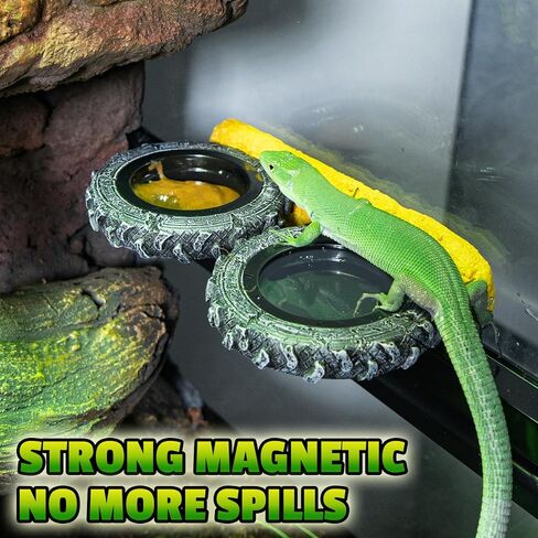 مغناطيسي Crested Crested Gecko حافة الحافة ، حافة تغذية الزواحف مع أوعية الطعام PVC ، طبق مياه الزواحف على شكل إطار ل cretted Gecko Leopard Gecko Lizard Frog Dragon in Kuwait