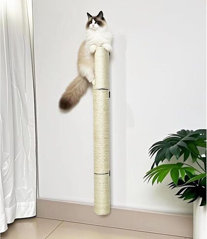 Post Cat Scratch Post ، 8،11.8،15.7،19.6،31.5inch Sisal Pole Cat Tree Post Post مع مسامير M8 ، واقي الأثاث الاحتياطي لبرج Cat Indoor مع ملء Post Post (19.6 * 3.1inch-2pcs) in Kuwait