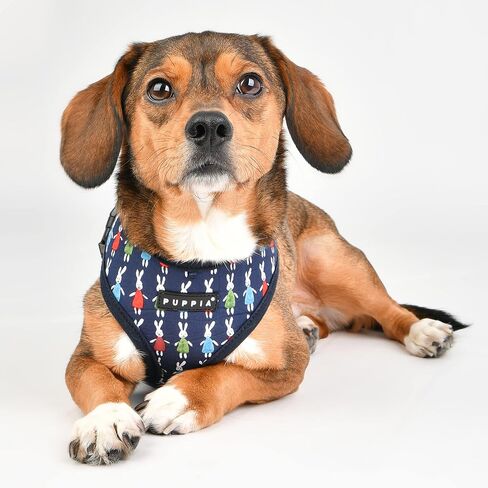 Puppia Mollie Harness A - Navy - M in Kuwait