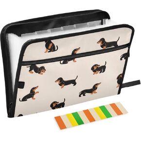 Susiyo Cartoon Happy Dachshund Dog Folder Folder ، 13 Pocket A4 LETTER SIZE ACRODION FILING