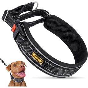 Mayerzon Martingale Dog Collar, 2 inch Wide Reflective Walking Collar for Large Medium Dogs, Adjustable Nylon No Pull Dog Collar with Buckle for Training Pitbull German Shepherd Rottweiler Dobermann