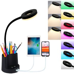HomeFocus - RGB LED Desk Lamp with Dual USB Charging,Smart Dimmable Study Lamp,Eye-Caring Reading Light with Pen Holder & Touch Control,Reading Lamp for Home Office (Black)
