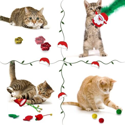 Catnip Toys for Indoor Cats, 5 Pack Butterfly Catnip Toys with Crinkle, Cat Toys for Indoor Cats & Kitten & Kitty in Kuwait