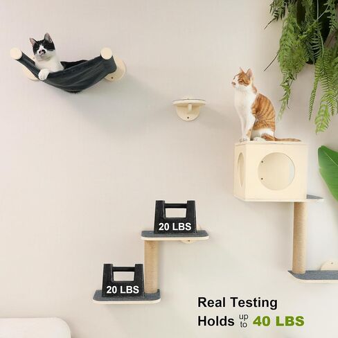 FUKUMARU Cat Wall Shelves, 5-Piece Wall-Mounted Furniture Set, Stable Wooden Kitty Climber with Hammock, House, Steps, Scratching Post - Beige in Kuwait