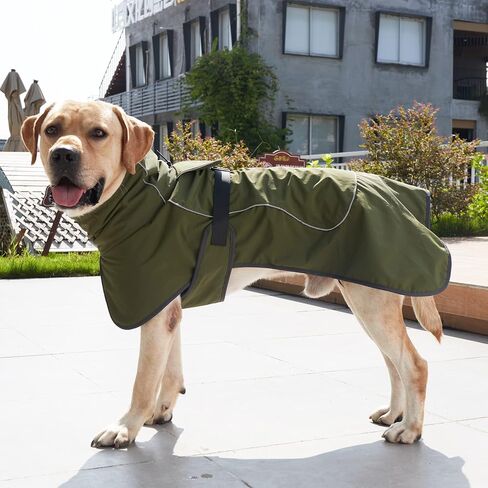 Dog Raincoat & Winter Jacket - Waterproof Windproof Reflective Coat with Warm Insulation, All-Weather Hiking Travel Gear for Indoor/Outdoor Use(Military Green, Medium) in Kuwait