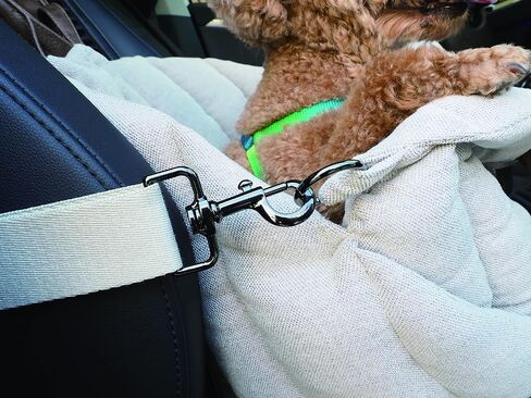 K10 Car-Go Tote - Dual Purpose Pet Tote and Dog Car Seat - Carry Your Dog or cat Safely with Harness Attachment - Attach The Bag to a Car Seat to use as a Pet Carrier (Oatmeal Beige) in Kuwait