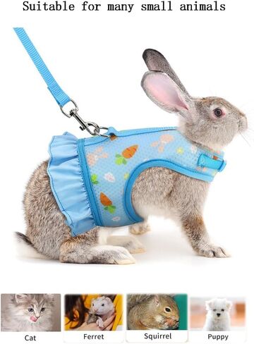 Rabbit Harness and Leash Set,Proof Walking Escape Cute Floral Mesh Vest Breathable Rabbit Costumes for Bunny, Hiking, Training for Ferret Kitten Puppy Small Animals Pink S in Saudi Arabia