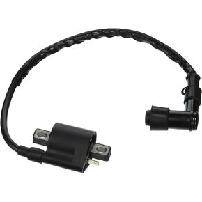 Newmotoz 50cc 70cc 90cc 110cc 125cc 200cc 250cc Atv Quad Dirt Bike Ignition Coil