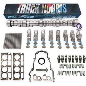 BTR TRUCK NORRIS Cam Kit with Pushrods Delphi Lifters, Trays, Head Gaskets LS 4.8 5.3