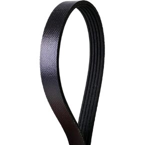 Continental Elite 4050272S Poly-V/Serpentine Stretch Belt Assorted One Size