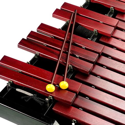 Stagg Xylophone (Xylo-Set 37 HG US) in Saudi Arabia