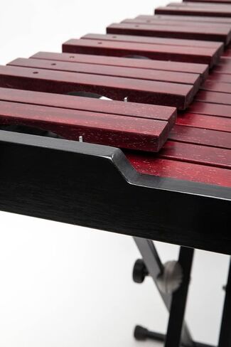 Stagg Xylophone (Xylo-Set 37 US) in Saudi Arabia