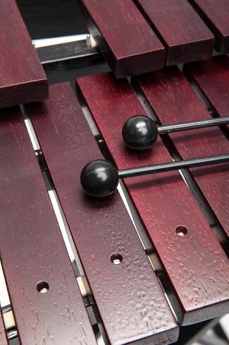 Stagg Xylophone (Xylo-Set 37 US) in Saudi Arabia
