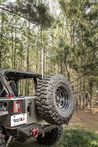 Rugged Ridge | Lighted Whip, RGB, 39 Inches (1 Meter) | 11250.20 in Saudi Arabia