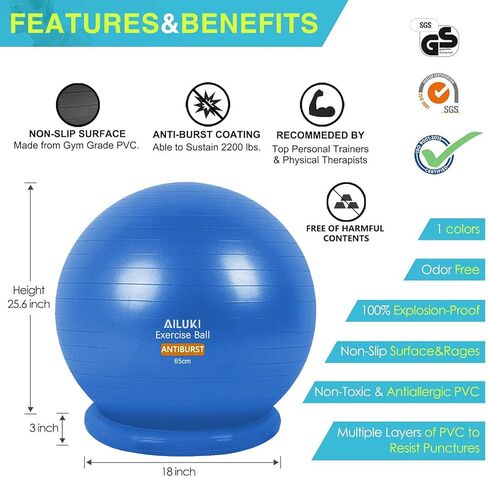 كرة اليوجا، كرة تمرين 65 سم، كرات اللياقة البدنية، كرة ثبات مضادة للانزلاق ومضادة للانفجار لليوجا والبيلاتس والولادة والتوازن واللياقة البدنية مع دليل التمرين ومضخة سريعة in Kuwait