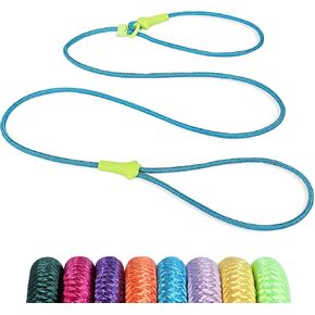 6 FT Lightweight Dog Training Leash Durable Slip Leads for Dogs Classic Rope Lead Small Medium and Puppies No Pull Leash(Blue) in Saudi Arabia