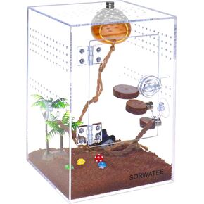 مجموعة Terrarium العنكبوت ، حاوية القفز عنكبوت مع مخبأ ، جسر الحبل ، سلم الحافة ، موائل صغيرة terrarium لزواحف سكنية الأشجار الصغيرة ، حاوية الشجاعة الشجرية (6x6x12 بوصة)