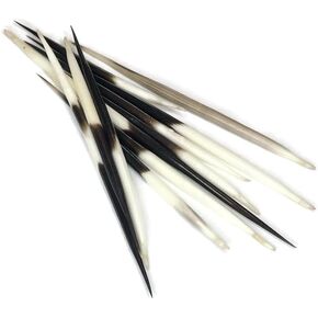 Quills النيص الأفريقي 3 "-5" ، 10 قطع ، إبر ، أشواك للحرف ، ديكور ، دبابيس الشعر ، صنع المجوهرات ، ملحق قبعة ، ديي
