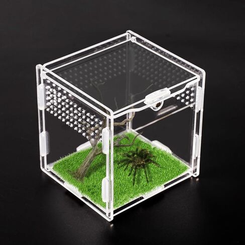 Transparent Jumping Spider Enclosure, Acrylic Reptile Terrarium Enclosure, Small Reptiles Habitat Tank Breeding Box for Tarantula Insect (Small) in Saudi Arabia