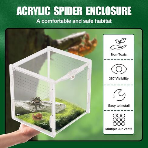 Transparent Jumping Spider Enclosure, Acrylic Reptile Terrarium Enclosure, Small Reptiles Habitat Tank Breeding Box for Tarantula Insect (Small) in Saudi Arabia