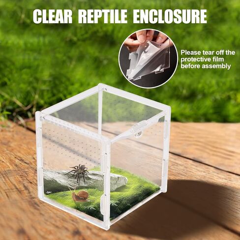 Transparent Jumping Spider Enclosure, Acrylic Reptile Terrarium Enclosure, Small Reptiles Habitat Tank Breeding Box for Tarantula Insect (Small) in Saudi Arabia