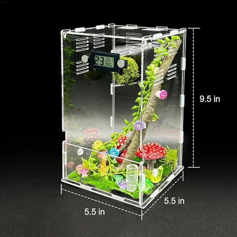 Jumping Spider Enclosure,DIY Insects Habitat,Small Reptile Terrarium Glass House Accessories Set,with Temperature and Humidity Detector Water Feeder Platform Hide,5.5“x5.5"x9.5“ (Forest) in Saudi Arabia