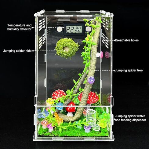 Jumping Spider Enclosure,DIY Insects Habitat,Small Reptile Terrarium Glass House Accessories Set,with Temperature and Humidity Detector Water Feeder Platform Hide,5.5“x5.5"x9.5“ (Forest) in Saudi Arabia