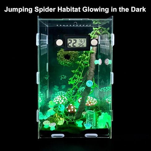 Jumping Spider Enclosure,DIY Insects Habitat,Small Reptile Terrarium Glass House Accessories Set,with Temperature and Humidity Detector Water Feeder Platform Hide,5.5“x5.5"x9.5“ (Forest) in Saudi Arabia
