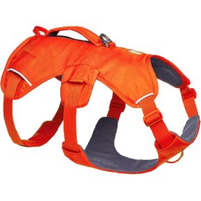 Ruffwear ، Master Web ، دعم الكلب متعدد الاستخدامات ، المشي لمسافات طويلة وركض الممرات ، الخدمة والعمل ، ارتداء كل يوم ، Blaze Orange ، Medium