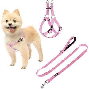 PUPTECK Dog Harness and Leash Set