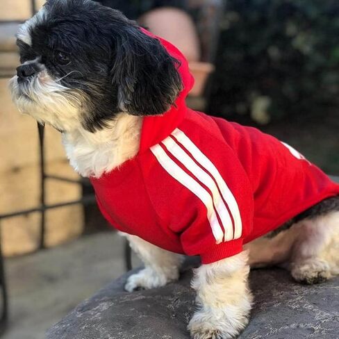 Weowin Pet Outfit - Cute Dog Sweater Sweatshirt Hoodies Tracksuit Cold Weather Coat 2-Legs Red for Small Medium Large Dogs Boy or Girl (Medium) in Kuwait