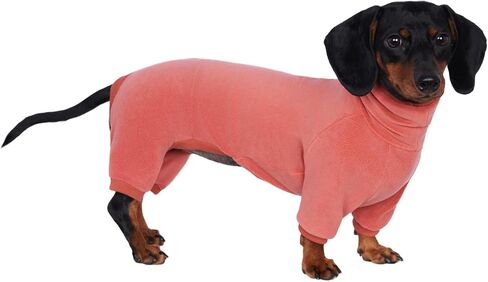 Dachshund Dog Turtleneck Warm Sweater, Winter Clothes, Suitable for Dachshunds (Green, Medium) in Kuwait