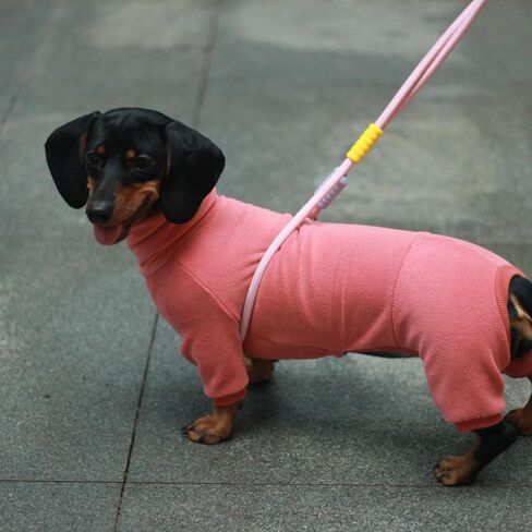 Dachshund Dog Turtleneck Warm Sweater, Winter Clothes, Suitable for Dachshunds (Green, Medium) in Kuwait