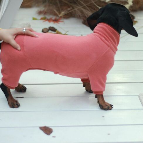 Dachshund Dog Turtleneck Warm Sweater, Winter Clothes, Suitable for Dachshunds (Green, Medium) in Kuwait