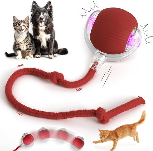 Indoor Cat Interactive Toy - Random Rolling, Flashing on Floor, 360 Automatic Rolling Toy Electric Dog Ball for Dogs/Cats (Red) in Kuwait