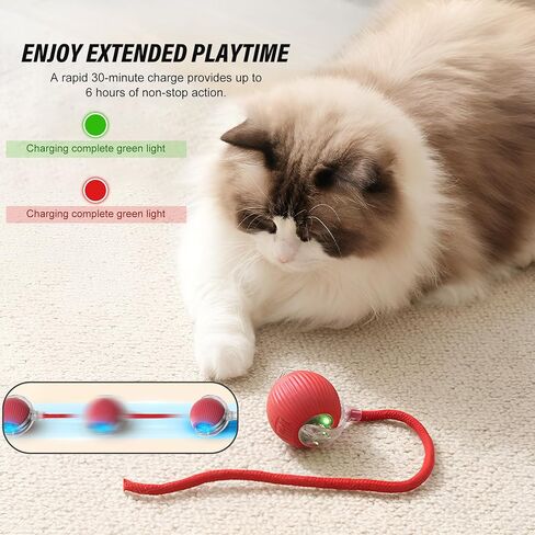 Indoor Cat Interactive Toy - Random Rolling, Flashing on Floor, 360 Automatic Rolling Toy Electric Dog Ball for Dogs/Cats (Red) in Kuwait