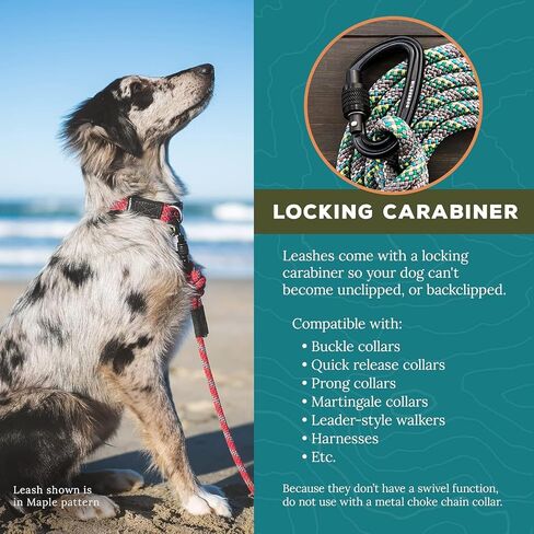 Wilderdog Carabiner Climbing Rope Dog Clash for متوسطة وكبيرة - 5 أقدام - المحيط الهادئ الأزرق in Kuwait
