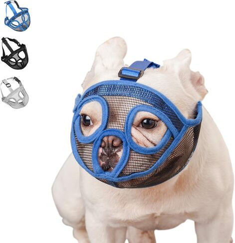 Short Snout Dog Muzzle Bulldog Muzzle, Stop Dog for Biting Barking Chewing, Adjustable(M, Blue) in Saudi Arabia