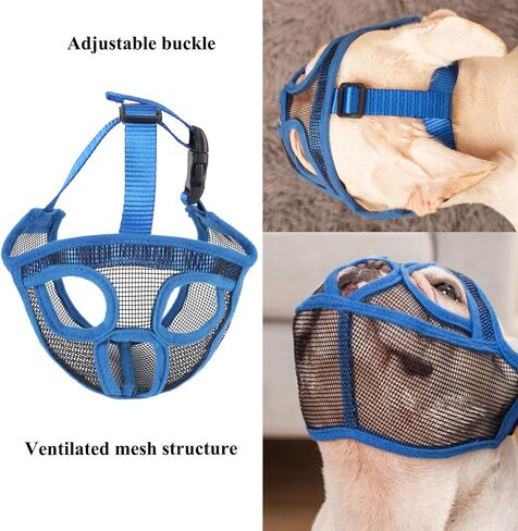 Short Snout Dog Muzzle Bulldog Muzzle, Stop Dog for Biting Barking Chewing, Adjustable(M, Blue) in Saudi Arabia