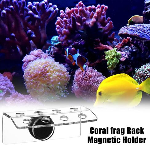 Mioyoow Coral Frag Rack ، حامل شعاب المرجاني المغناطيسي 30 درجة حامل كورال كورال حامل لخزان أسماك الحوض in Kuwait