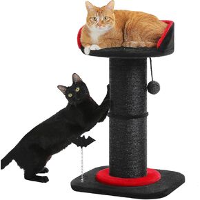 Pequlti Cat Scratching Post ، شجرة القط القوطي ، خدش طويل للقطط الداخلية مع منشور خدش سميك للغاية [DIA = 5.5 '']