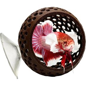CTWPETS الطبيعي Betta Bulb Hide | بيتا راحة أسماك حلية حلية | كهف حوض السمك مع كوب شفط لخطط السمك الصغيرة ، بيتا موطن ، مخبأ الجمبري ، ديكور مائي (شفاف)